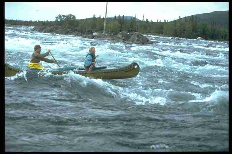 laneflori.jpg 560x305